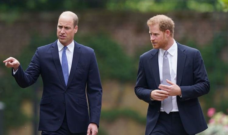 Le prince Harry « boule d'énergie nerveuse » lors du dévoilement de la statue de Diana au milieu d'une querelle avec William