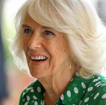 Camilla assume un nouveau rôle en réunissant deux causes qui lui tiennent à cœur