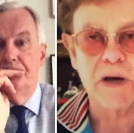 Michel Barnier rejoint l'attaque d'Elton John contre Boris Johnson et la stratégie Brexit de Lord Frost