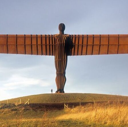 La police déjoue le complot pour coller l'insigne de l'Angleterre sur Angel of the North – « Une opération militaire ! »