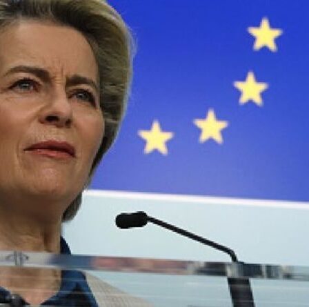 La Commission Von der Leyen réprimandée par le directeur financier américain pour un plan de relance "inflexible"