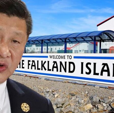 Les Malouines en danger après que la Chine a exhorté l'Argentine à utiliser sa « force » contre le Royaume-Uni « arrogant »