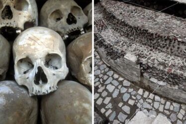 Une percée aztèque après que des chercheurs ont découvert un «sacrifice horrible» sous une ville antique