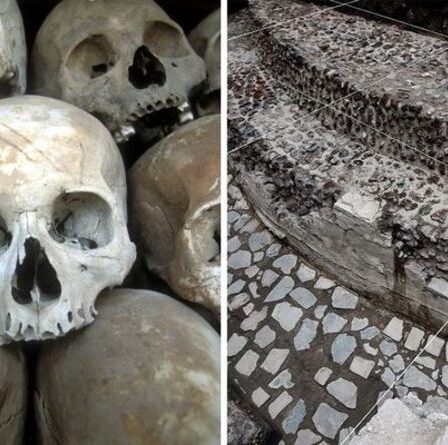 Une percée aztèque après que des chercheurs ont découvert un «sacrifice horrible» sous une ville antique