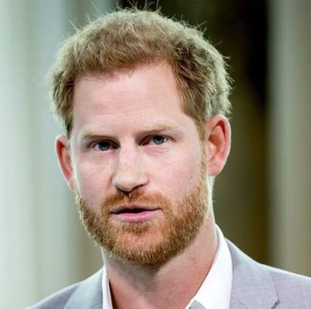 Le prince Harry utilise un service d'aéroport privé " somptueux et " ultra exclusif ")