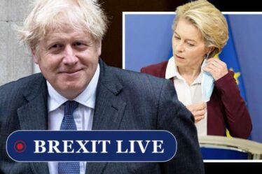 Brexit EN DIRECT: le Royaume-Uni s'apprête à se débarrasser enfin de l'UE alors qu'une nouvelle législation réduit les formalités administratives du bloc