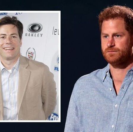 Le nègre du prince Harry "obsédé" par l'enquête sur "les hommes qui abandonnent la société"