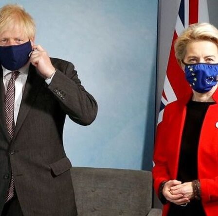 Allez, Boris ! Le Premier ministre invité à lutter contre l'intimidation à Bruxelles, le Royaume-Uni étant "trop tolérant" après le Brexit