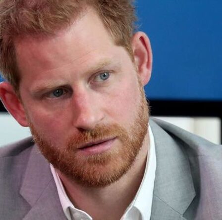 Les mémoires du prince Harry «seront une lecture assez troublée» – Duke est invité à discuter des problèmes clés
