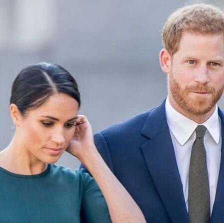 La connexion de Meghan et Harry avec The Crown de Netflix a révélé: «Un tout nouveau niveau»