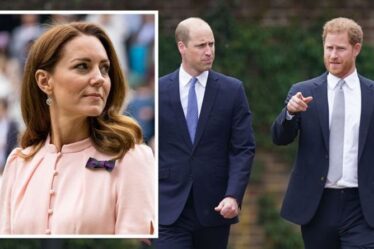 William et Harry ont averti Kate Middleton que la médiatrice « pourrait aggraver les choses »