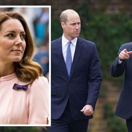 William et Harry ont averti Kate Middleton que la médiatrice « pourrait aggraver les choses »