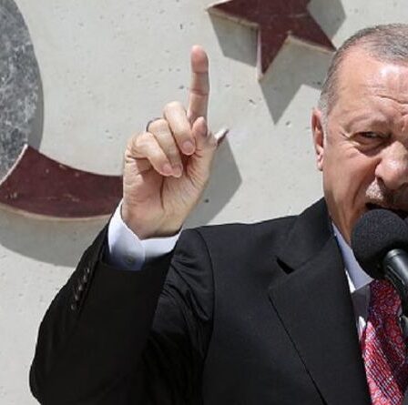 Guerre Turquie-Chypre : l'UE prête à défendre son territoire contre les menaces d'Ankara - « Inacceptable ! »