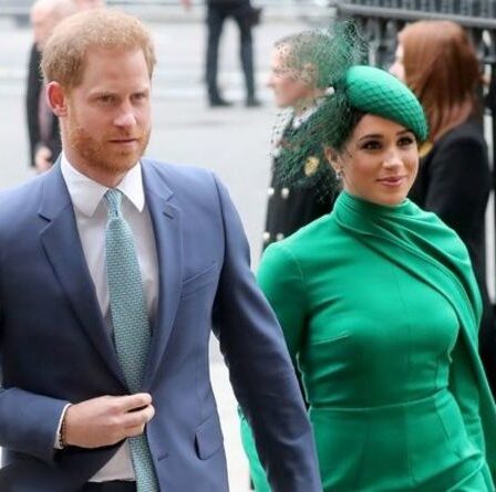 Meghan et Harry «bons à développer des fictions pratiques», affirme l'historien royal