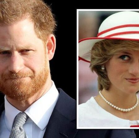 Harry tragique exauçant le souhait de Diana avec un livre : "Elle aurait écrit une autobiographie"