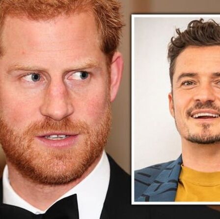 Le copain du prince Harry, Orlando Bloom, recousue Duke alors qu'il se moque du prince George lors d'un mouvement public