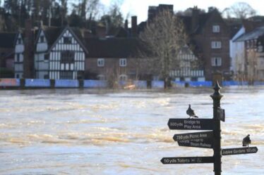 La catastrophe climatique au Royaume-Uni appelle à une action immédiate, avertissent les militants