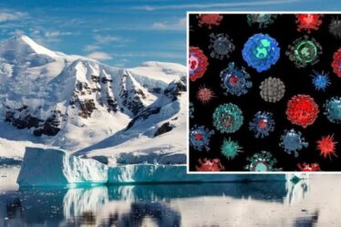 28 nouvelles espèces de virus découvertes dans le glacier chinois - pourquoi cela stimule la recherche de virus sur Mars