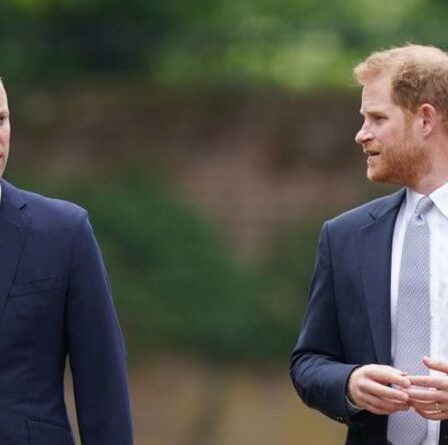 « A donné à Anthony Hopkins une course pour son argent ! » Harry et William ont caché leur antagonisme lors d'une cérémonie