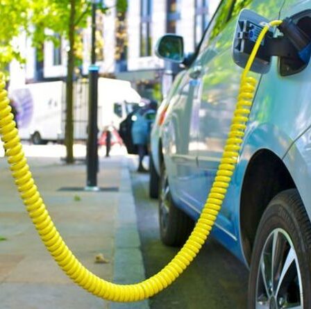 AA soutient les appels de Daily Express à la suppression de la TVA sur les ventes de voitures électriques