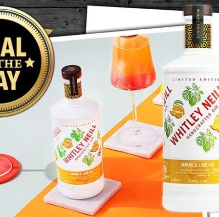 AFFAIRE DU JOUR : les critiques de gin disent que « le meilleur gin de tous les temps » est en vente maintenant