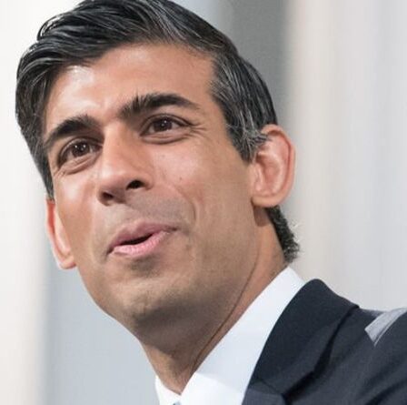 Abandonner l'UE ! Le plan directeur post-Brexit de Rishi Sunak salué par les entreprises – le Royaume-Uni déchaîné