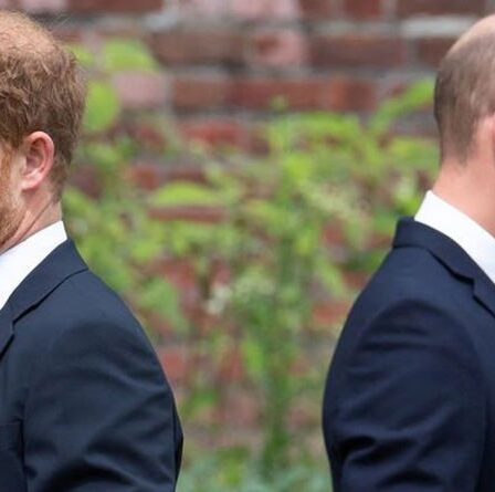 Analyse de la déclaration de la statue du prince Harry et William Diana : ce que le frère voulait vraiment dire
