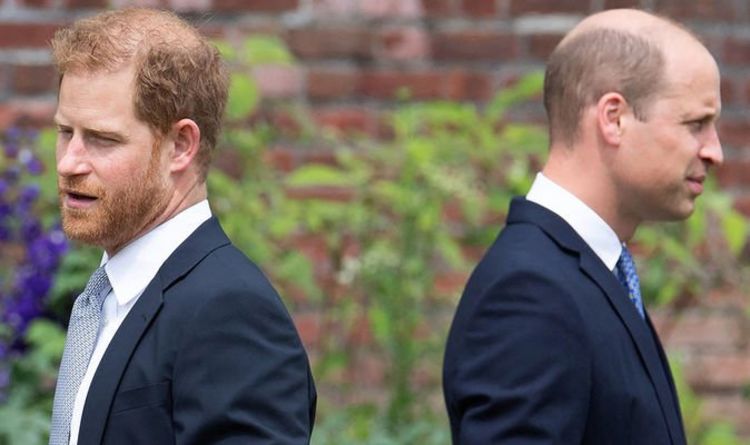 Analyse de la déclaration de la statue du prince Harry et William Diana : ce que le frère voulait vraiment dire