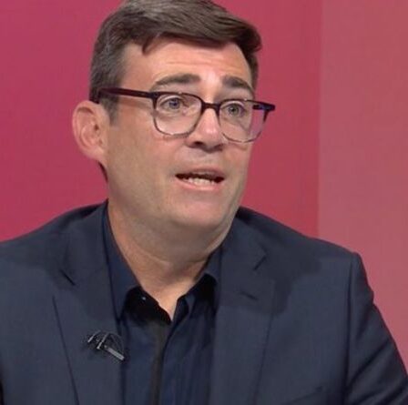 Andy Burnham admet que perdre Batley et Spen serait "un vrai défi" pour le parti travailliste