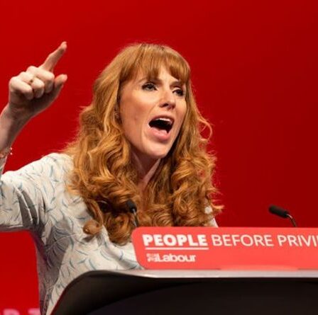 Angela Rayner suscite la fureur alors qu'une députée «grossière» a dit qu'elle devrait être «licenciée» par un initié travailliste