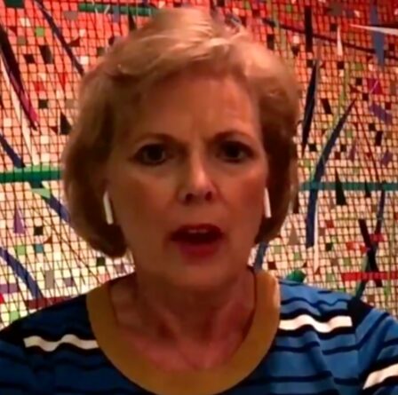 Anna Soubry qualifie les conservateurs du Brexit Party – accuse un «style de type Trumpian»