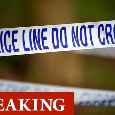 Attaque de bébé à Belfast: un enfant mort et un autre blessé dans d'horribles coups de couteau