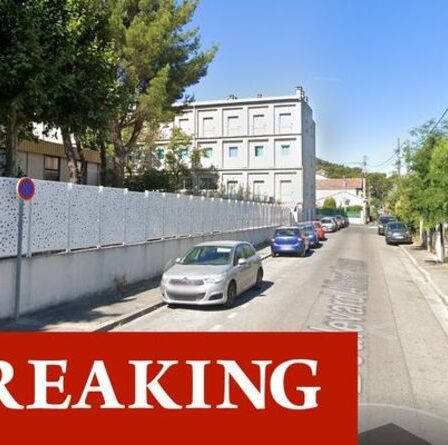 Attaque d'horreur d'une pépinière en France : 1 coup de feu et 3 coups de couteau dans le saccage de Marseille