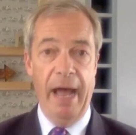 « Aurait pu avoir une attaque terroriste » Farage demande une enquête sur les fans anglais de Wembley par effraction