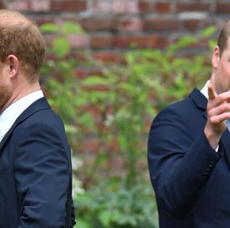 Avertissement de la famille royale : le prince William et le prince Harry menacent l'avenir de la monarchie