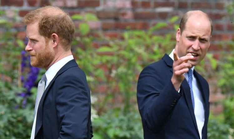 Avertissement de la famille royale : le prince William et le prince Harry menacent l'avenir de la monarchie