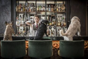 Bravo à cela : le bar à cocktails de Londres crée une carte de cocktails adaptée aux chiens