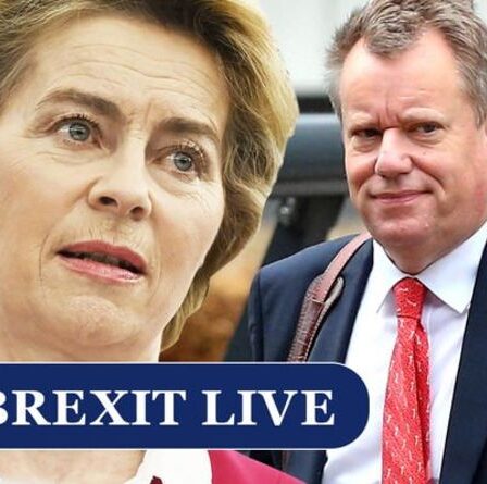 Brexit EN DIRECT : Frost prépare un nouveau plan de bataille pour déchirer un accord « contradictoire » avec l'UE