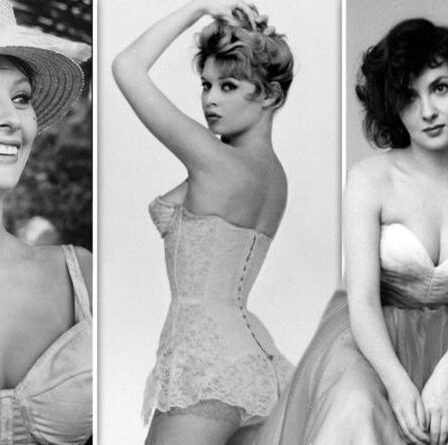 Brigitte Bardot, Sophia Loren, Gina Lollabrigida : les icônes des années 50 prouvent que l'âge n'est qu'un chiffre