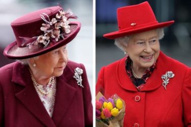 Broches de la reine : l'hibiscus australien représente une relation à la fois avec la nation et la nature