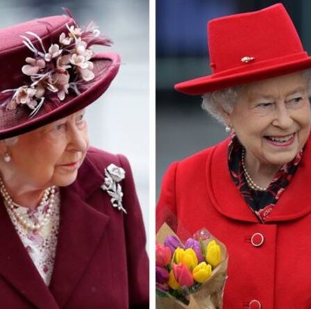 Broches de la reine : l'hibiscus australien représente une relation à la fois avec la nation et la nature