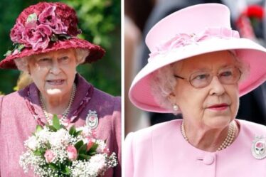 Broches royales : Centenary Rose contient 100 diamants et a un lien doux avec la mère de la reine