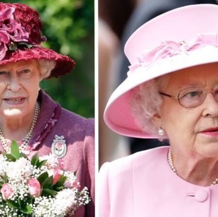 Broches royales : Centenary Rose contient 100 diamants et a un lien doux avec la mère de la reine