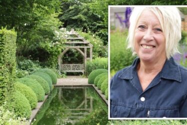 Carol Klein: le jardinier de Wollerton Old Hall partage une astuce «parfaite» pour jalonner les plantes