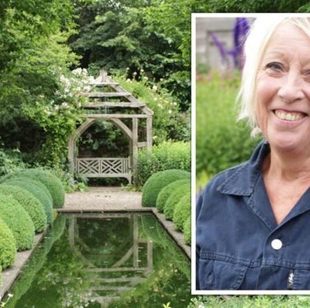 Carol Klein: le jardinier de Wollerton Old Hall partage une astuce «parfaite» pour jalonner les plantes