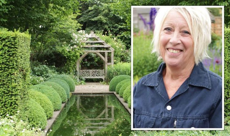 Carol Klein: le jardinier de Wollerton Old Hall partage une astuce «parfaite» pour jalonner les plantes