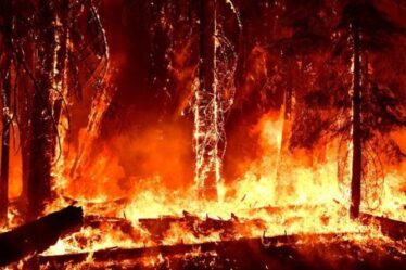 Cartographie des incendies de forêt aux États-Unis : incendies de forêt apocalyptiques - où sont les incendies maintenant ?