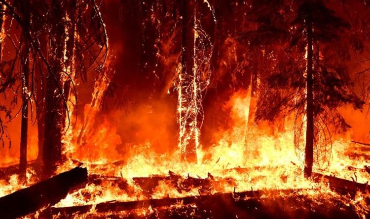 Cartographie des incendies de forêt aux États-Unis : incendies de forêt apocalyptiques - où sont les incendies maintenant ?