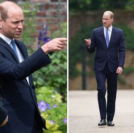 « Ceci est le vieux Harry et William » : le langage corporel des membres de la famille royale lors du dévoilement de la statue de Diana