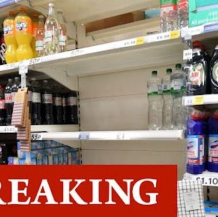 Chaos de l'application Covid alors que le record de 618 903 alertes a été envoyé aux Britanniques la semaine dernière – craintes d'une crise de pingdémie